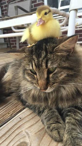 Daily Picdump