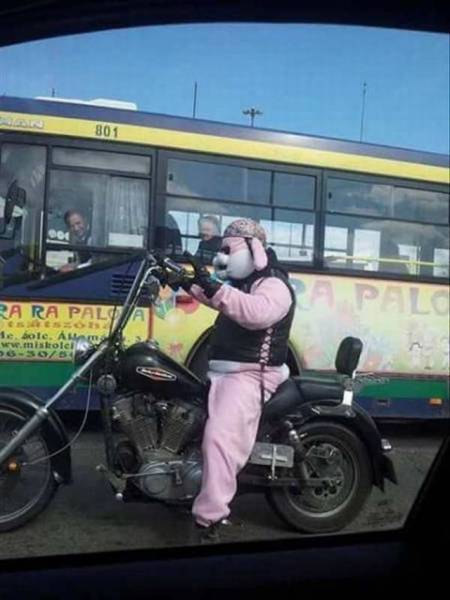 Daily Picdump