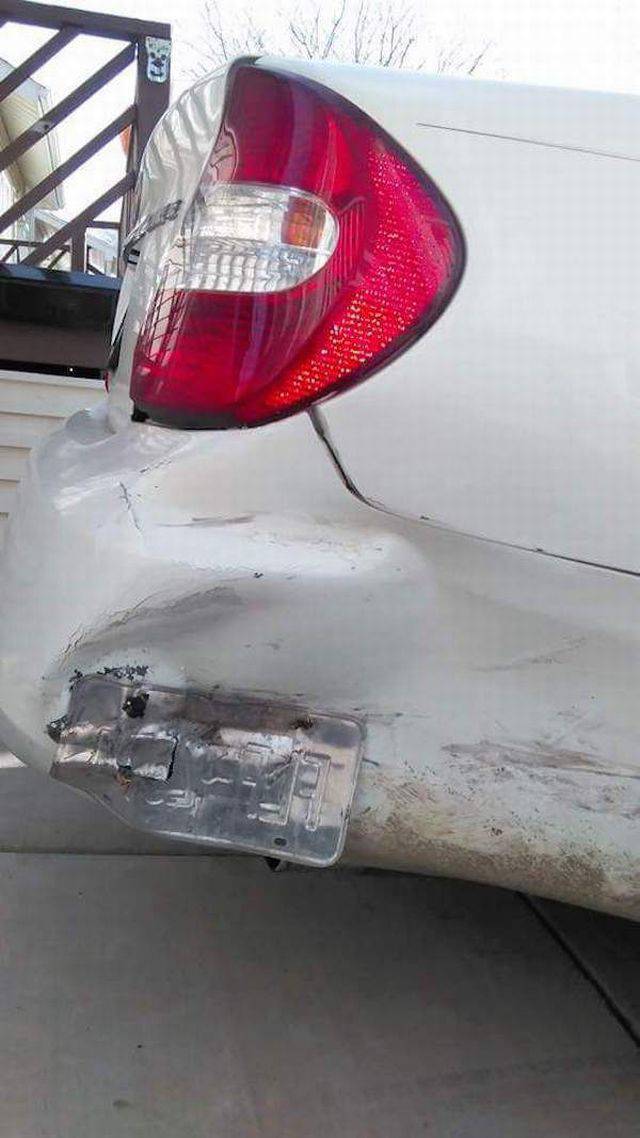 Daily Picdump