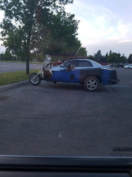 Daily Picdump [WEEKEND EDITION]