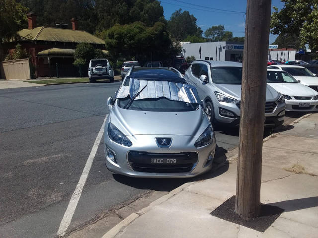 Daily Picdump [WEEKEND EDITION]