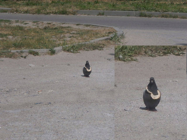 Daily Picdump [WEEKEND EDITION]