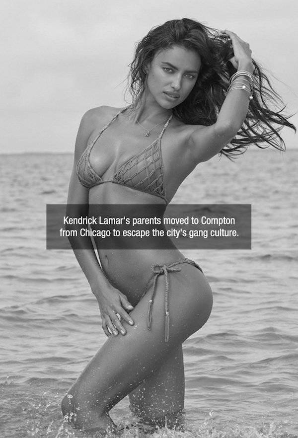 Facts are Best Served with Hot Chicks