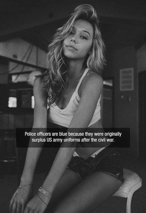 Facts are Best Served with Hot Chicks