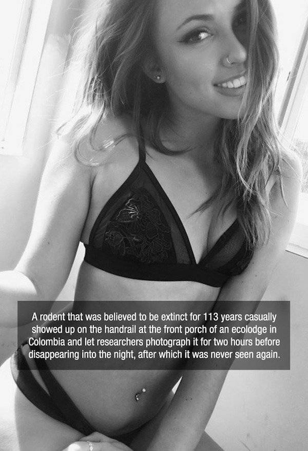 Facts are Best Served with Hot Chicks