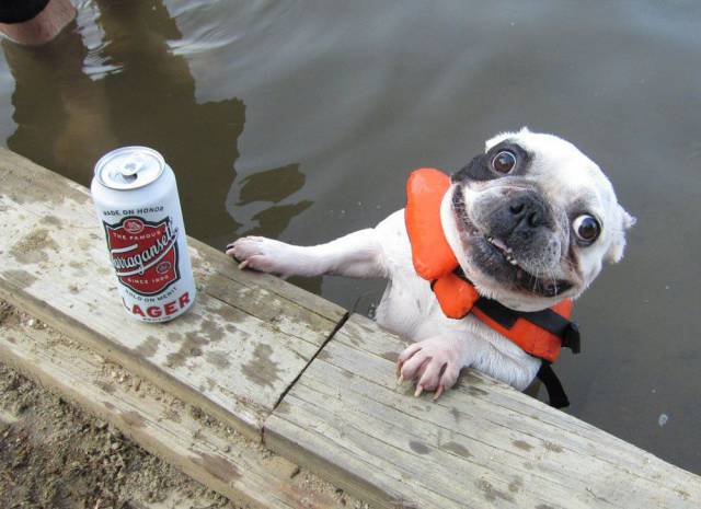 Daily Picdump [WEEKEND EDITION]