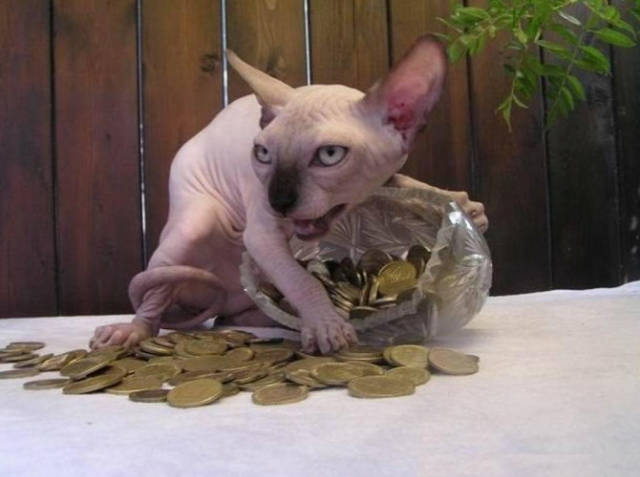 Morning Picdump