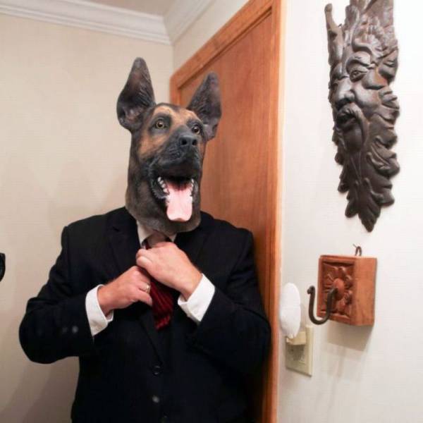 Morning Picdump