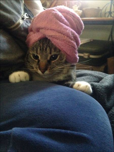Morning Picdump