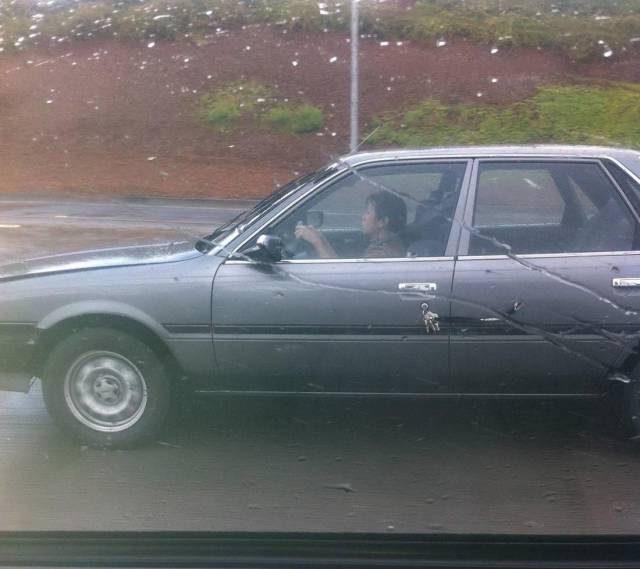 Daily Picdump