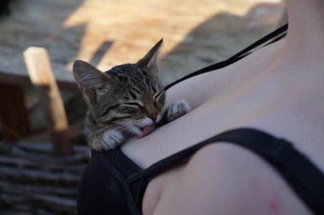 Daily Picdump