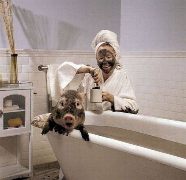 Daily Picdump