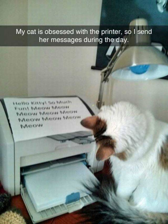 Daily Picdump