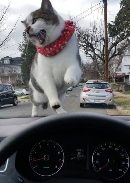 Daily Picdump [WEEKEND EDITION]