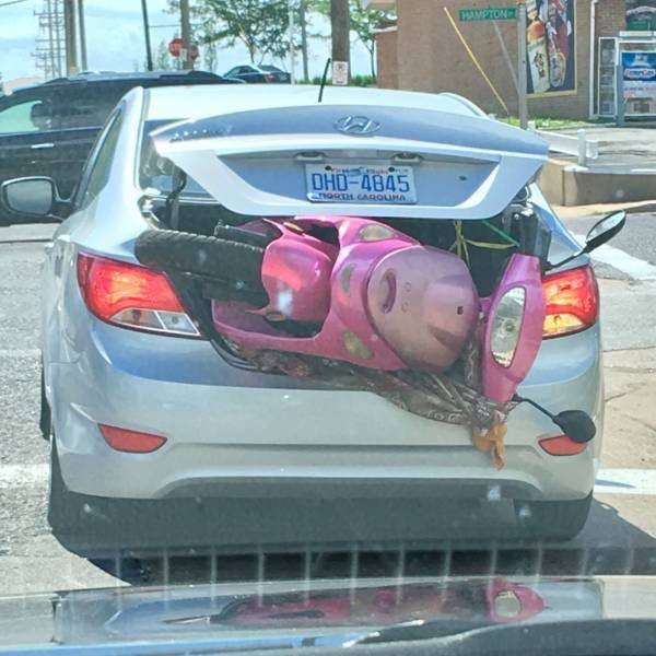 Morning Picdump