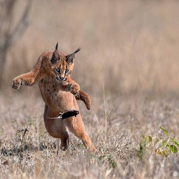 Morning Picdump