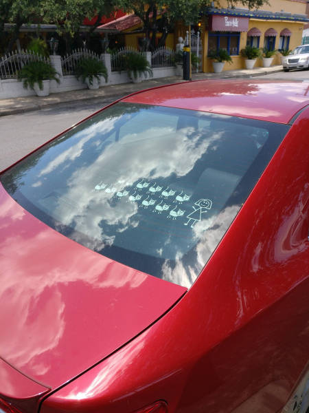 Morning Picdump