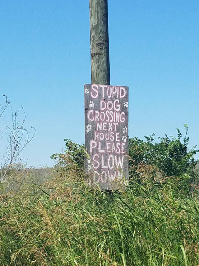 Morning Picdump