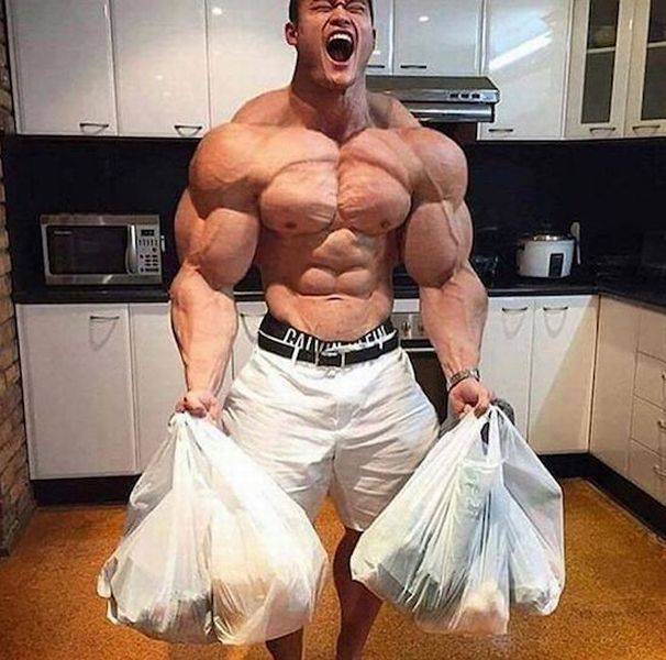 Daily Picdump