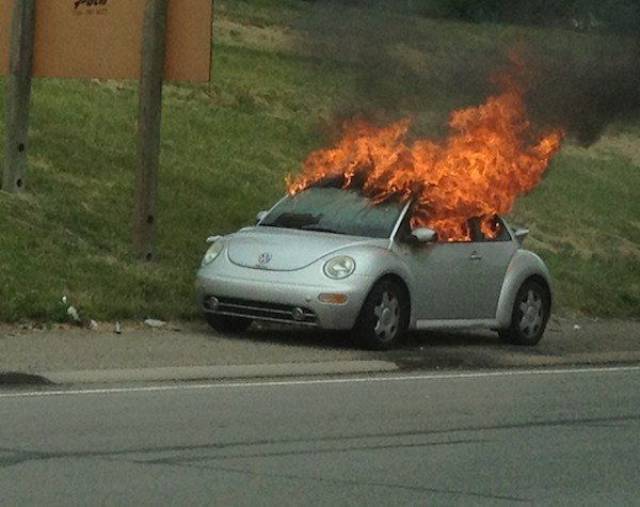 Daily Picdump