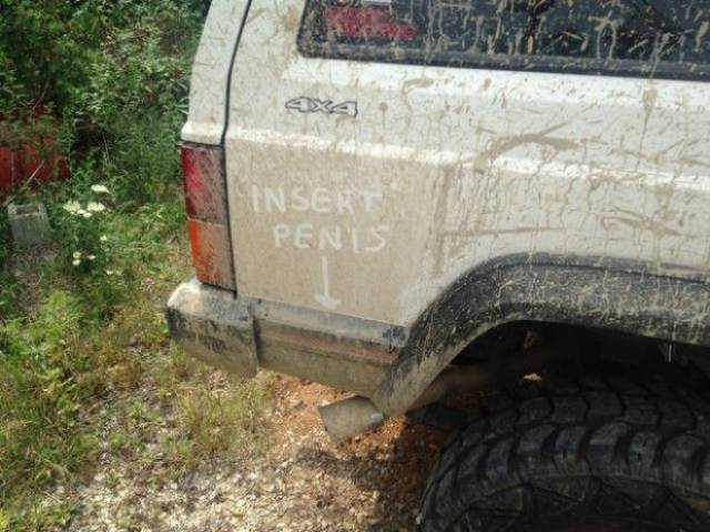 Daily Picdump