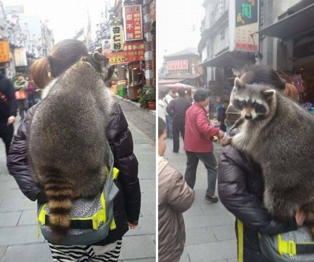 Daily Picdump