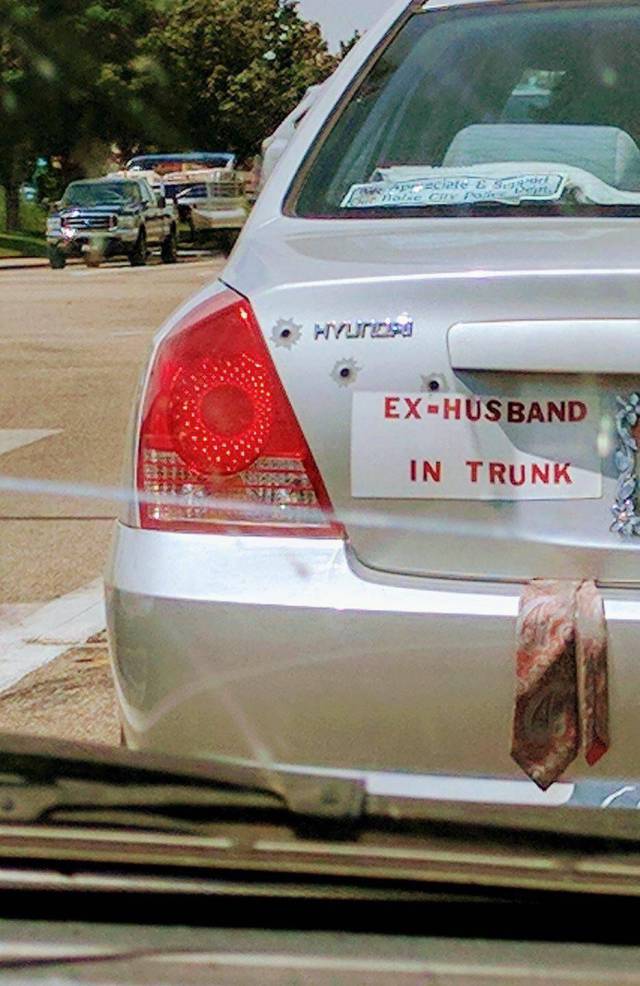 Daily Picdump