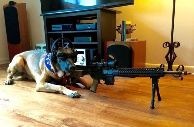 Morning Picdump