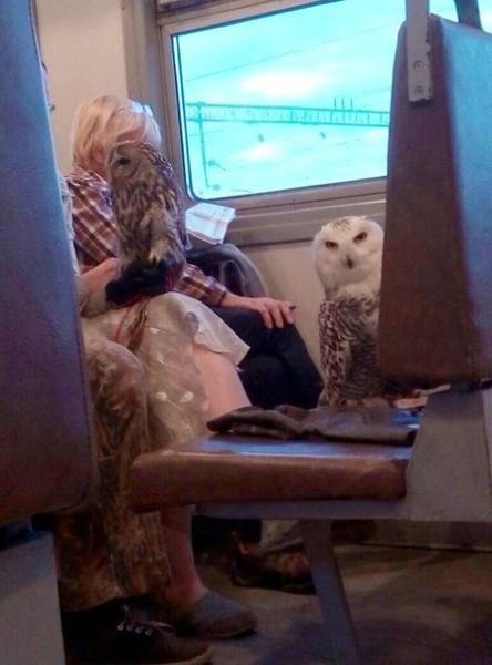 Morning Picdump