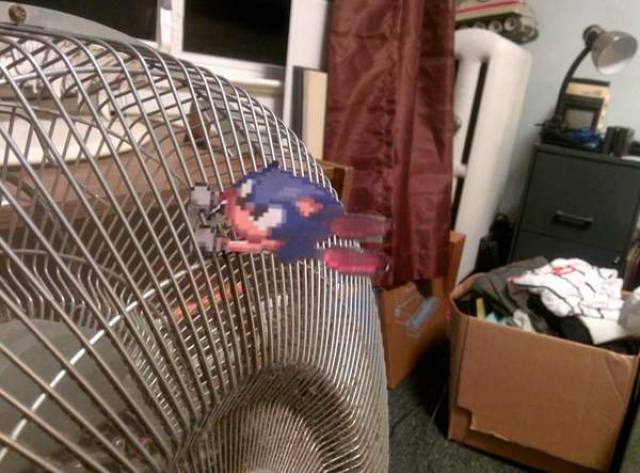 Morning Picdump