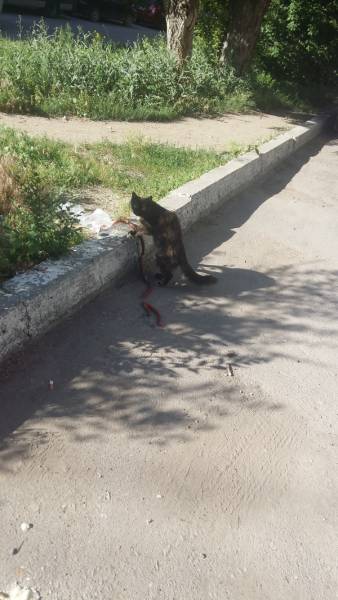 Morning Picdump