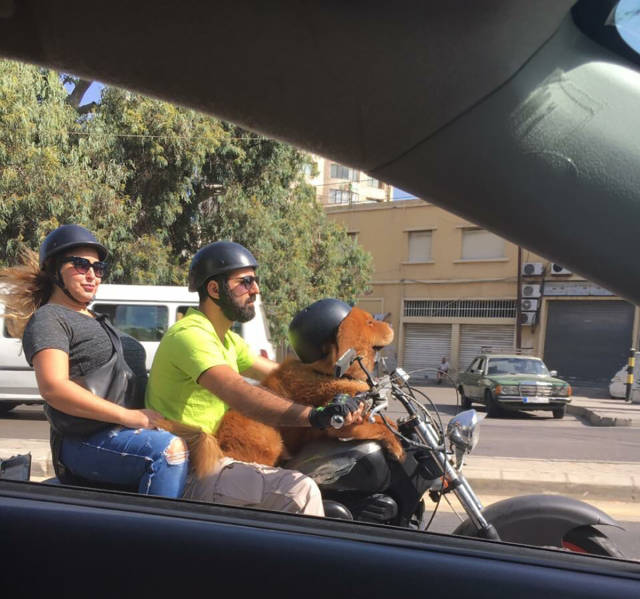 Morning Picdump