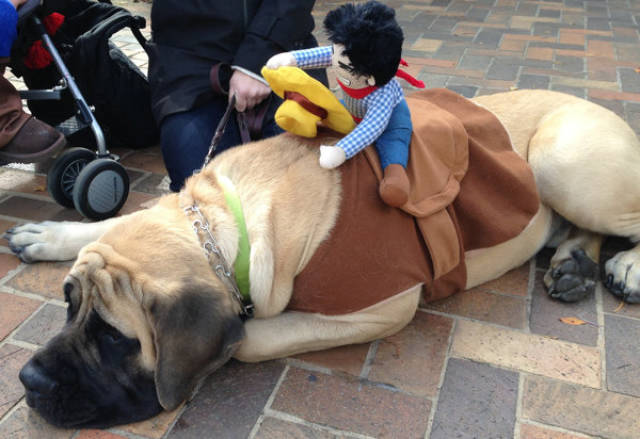 Morning Picdump