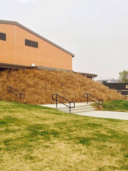 Wind Will Do Whatever It Wants With You