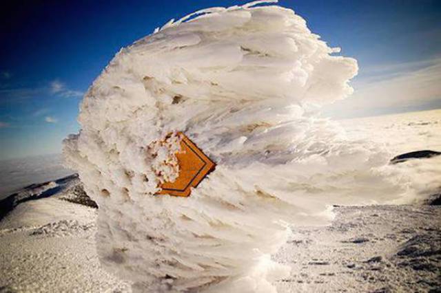 Wind Will Do Whatever It Wants With You