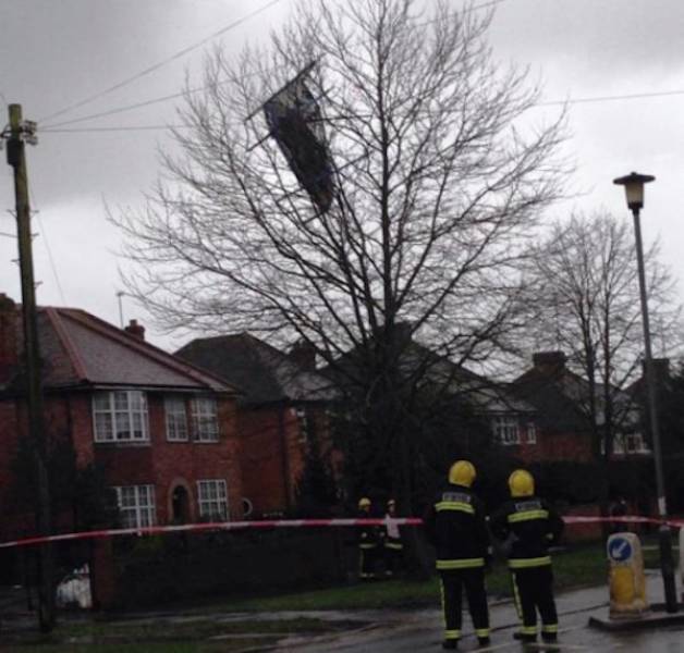 Wind Will Do Whatever It Wants With You