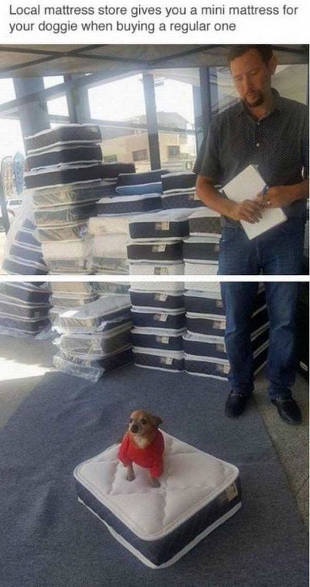 Daily Picdump