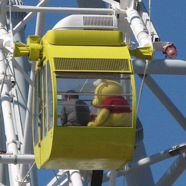 Daily Picdump