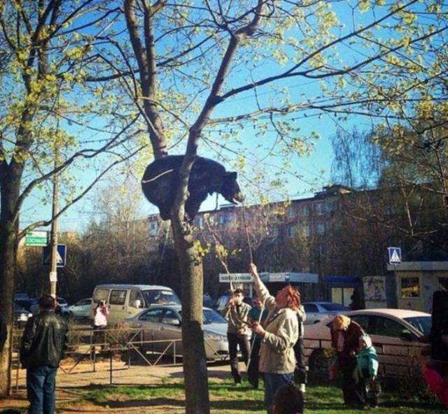 Daily Picdump