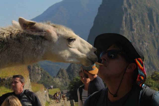 Daily Picdump