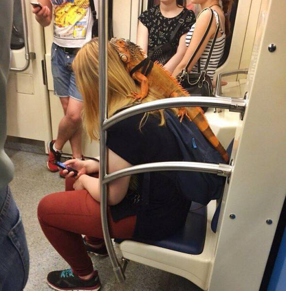 Daily Picdump