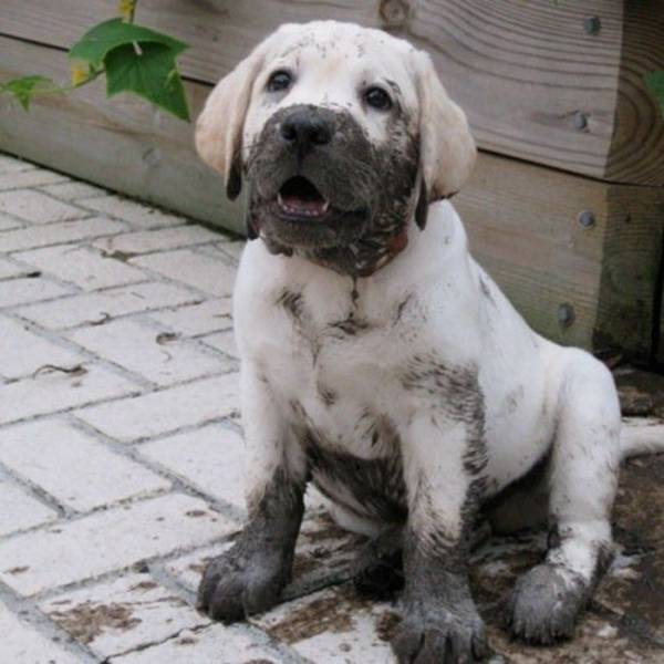 Daily Picdump