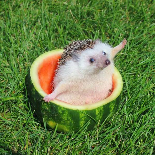 Daily Picdump