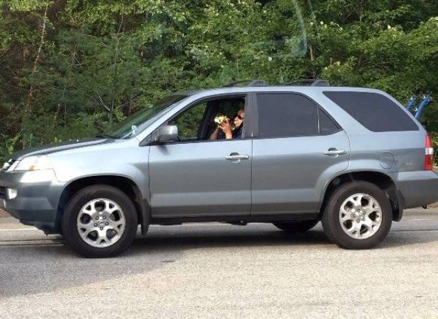 Daily Picdump