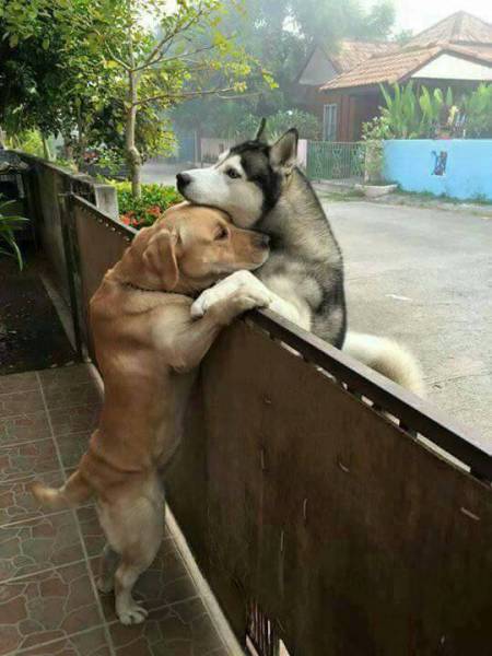 Morning Picdump
