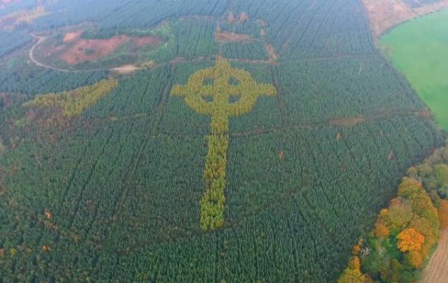 Daily Picdump [WEEKEND EDITION]