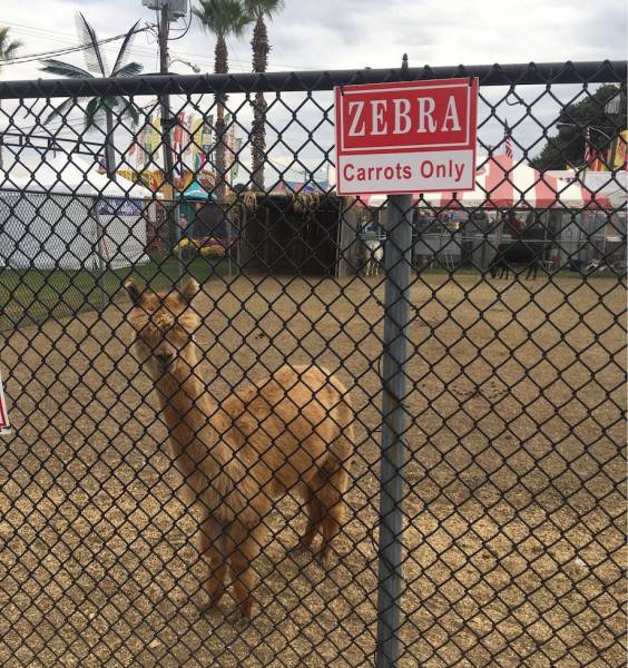Daily Picdump [WEEKEND EDITION]