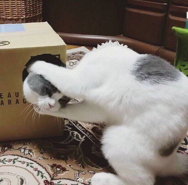 Daily Picdump