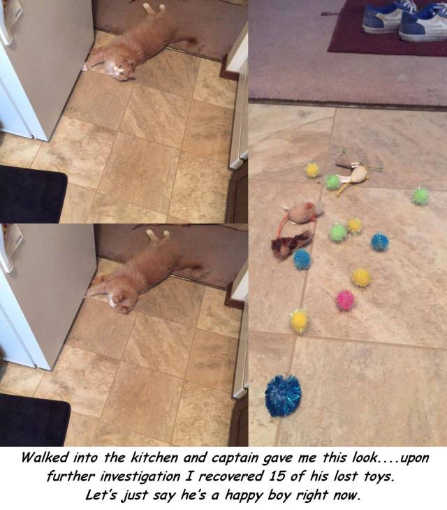 Daily Picdump
