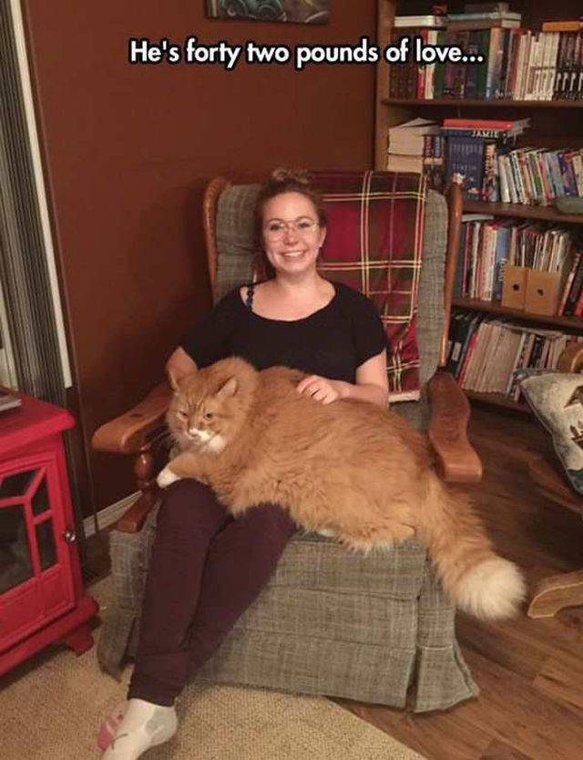 Daily Picdump